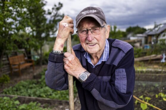 Harry was asked to take over the allotment when he won a gardening prize 30 years ago.