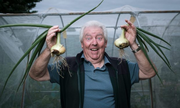 Denis Barrett, 76, spends 30 hours a week at his plot at the Budhill & Springboig Allotments in the east end of Glasgow