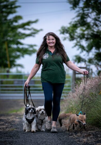 Bozena Bienkowska takes Dougal on a walk with her dogs Emily and Bronte.