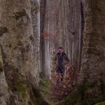 Travel: Rambles, rest, recuperation in Royal Deeside – and all done with military precision