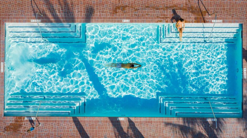 Enjoying a swim in the shade of a palm tree.