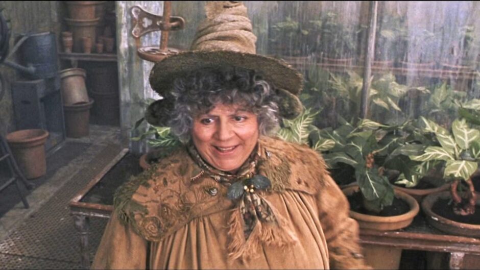 Miriam as Professor Sprout in the Harry Potter movies.