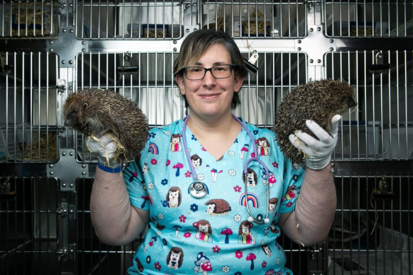 Nadia with hedgehogs Vortex and Widget.