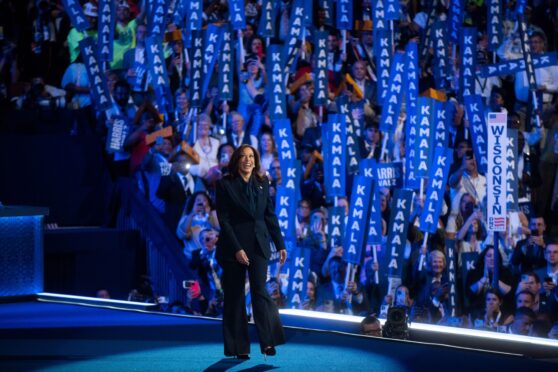 Vice President Kamala Harris. Image: Shutterstock