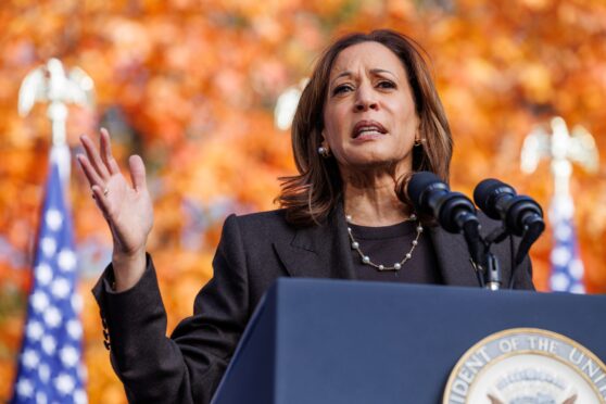 Vice President Kamala Harris. Image: Shutterstock