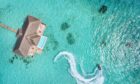 A suite with a private pool right in the ocean.