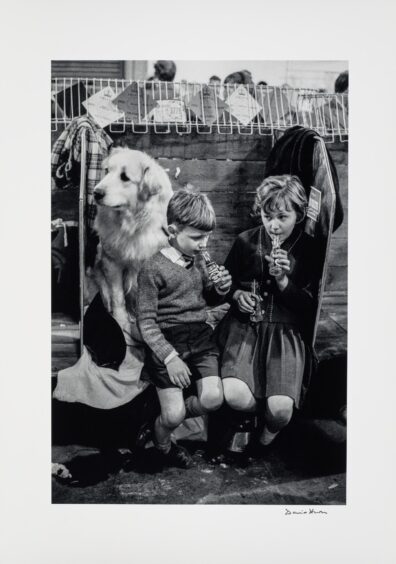 Glasgow photographer David Hurn captures a great moment in The Annual Dog Show in 1967.