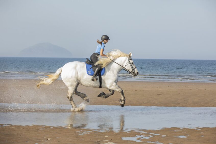 girl on a horse galloping on a beach