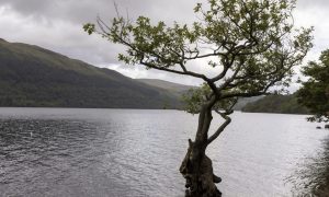 Loch Lomond, where Barry Wallace’s dismembered body was dumped.