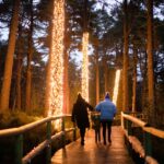 Travel: Dazzling winter lights on a Cairngorms staycation