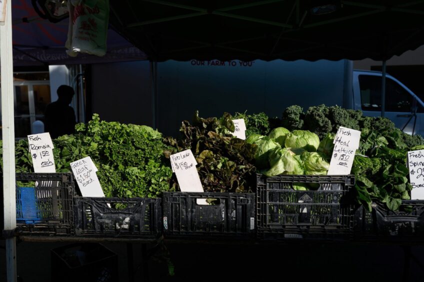 Local produce on sale at a street market.