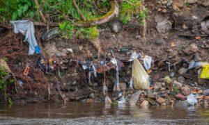 An eyesore and a health risk: Rubbish illegally dumped into the River Ericht at Blairgowrie, in Perthshire.