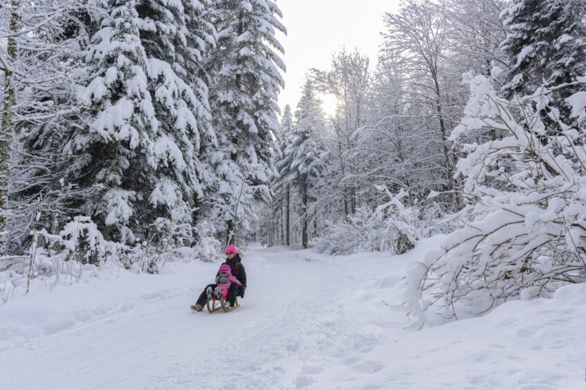 A toboggan ride at Uetliberg.