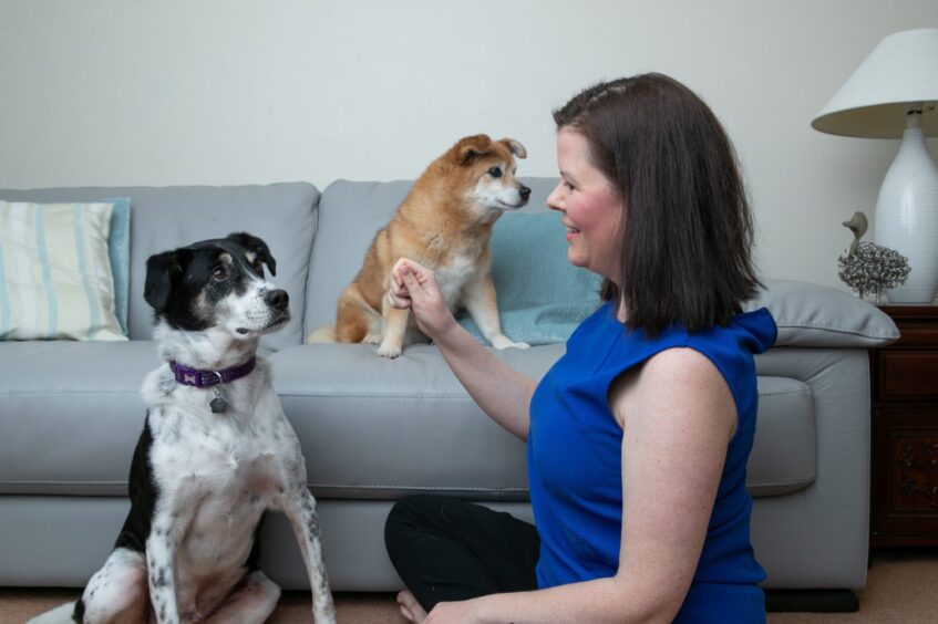 Gillian with the dogs.