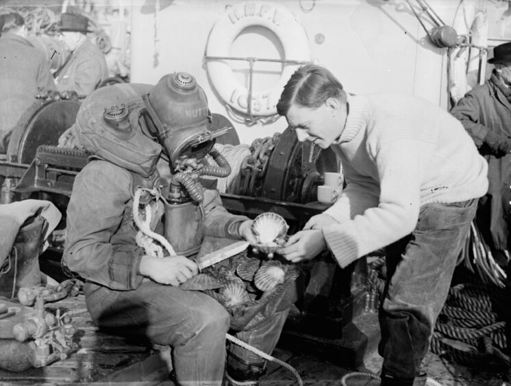 Royal Navy divers on the hunt for the Tobermory treasure enjoyed the sea’s other riches.