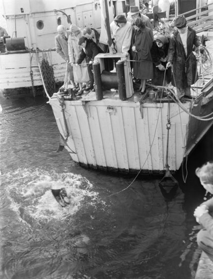 A diver disappears underwater.