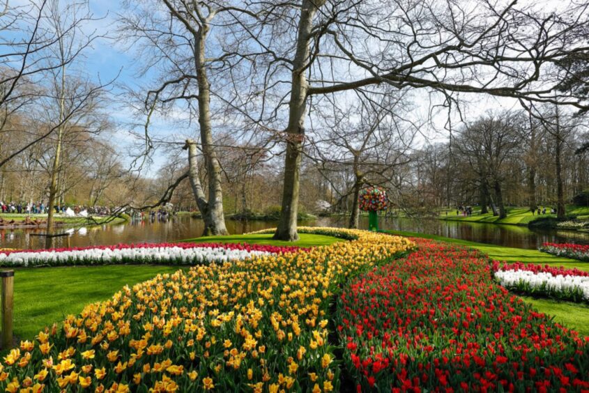 The tulip festival at Keukenhof.