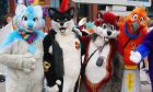 Furry culture involves dressing up in costumes ranging from dogs to more fantastical creatures.