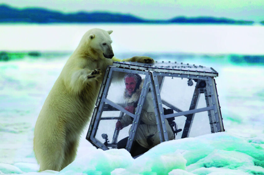 The polar bear attack.