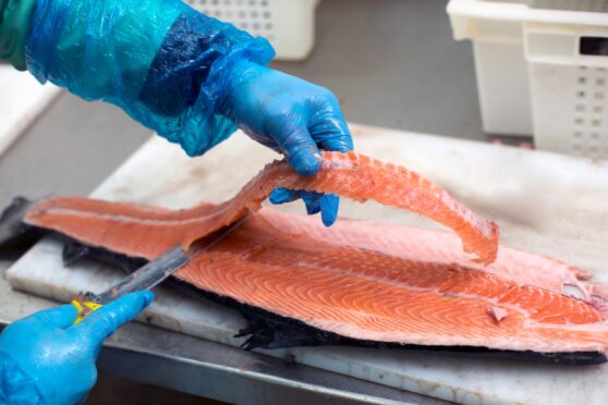 A stock image of fish processing plant. Norwegian firm Mowi say claims about conditions at its factory are ‘false and misleading’.