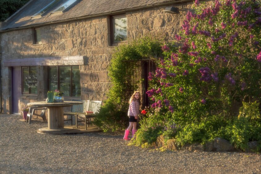 Late-evening sun at Cowden Farm