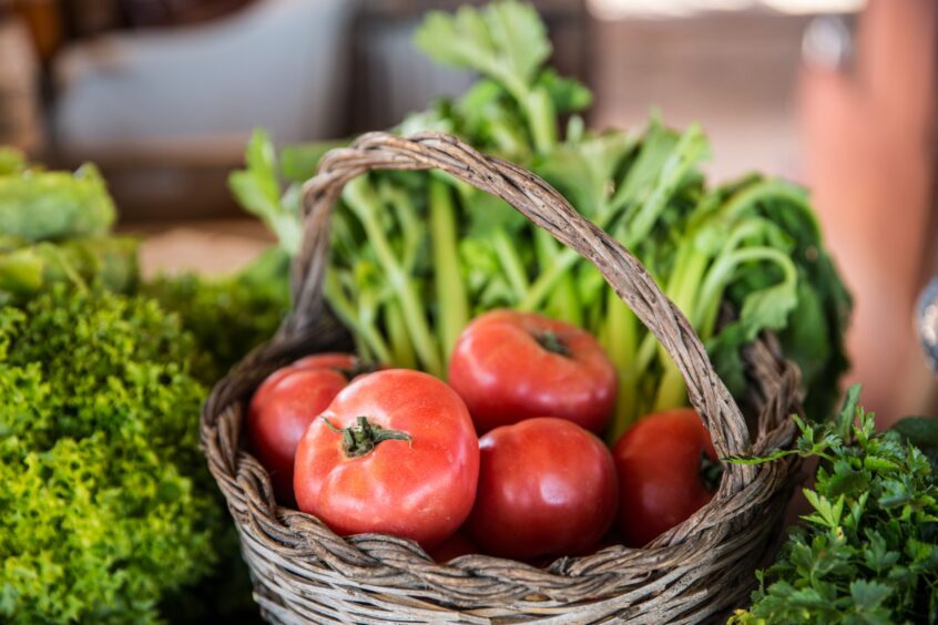 Delicious local fare.