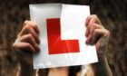 Thousands of young learners’ lives have stalled as nationwide backlog keeps them off the road