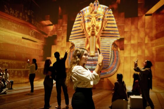 Tutankhamun: The Immersive Experience.