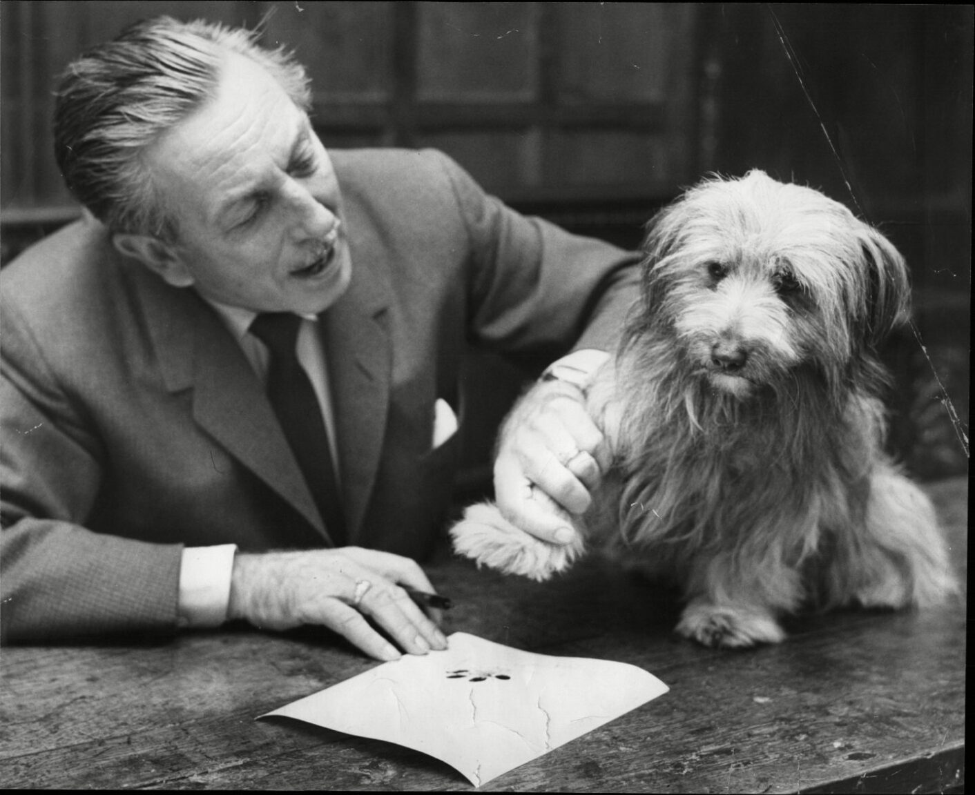 The tale of Stornoway stray who became Disney's Greyfriars Bobby