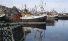 Scots' fishers are enjoying a post-Brexit quota bonanza, according to Westminster.