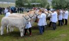 Livestock breeders will be out in force once again this summer.