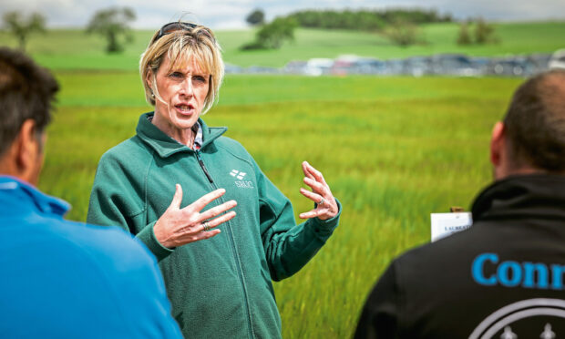 Professor Fiona Burnett speaking to growers at a previous event.