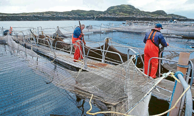 Salmon sector cites new job potential.