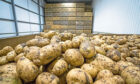 Growers will be asked to vote on the future of a levy for the potato sector in early 2021.