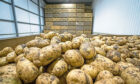 Growers will be asked to vote on the future of a levy for the potato sector in early 2021.