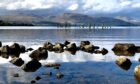 Loch Lomond banks - perfect Christmas break