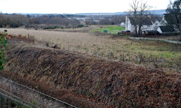 Looking from railway line across to grassland where Bilbohall housing will be built.