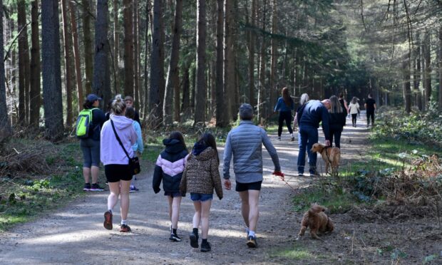 There's perhaps nothing better for family bonding than a walk in the woods.
Photo: Kenny Elrick.