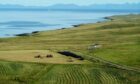 A report by the Auditor General has called for improvements at the Crofting Commission.