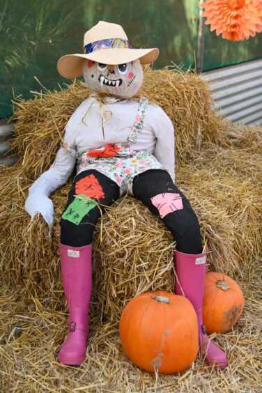 A stuffed figure with a pumpkin head