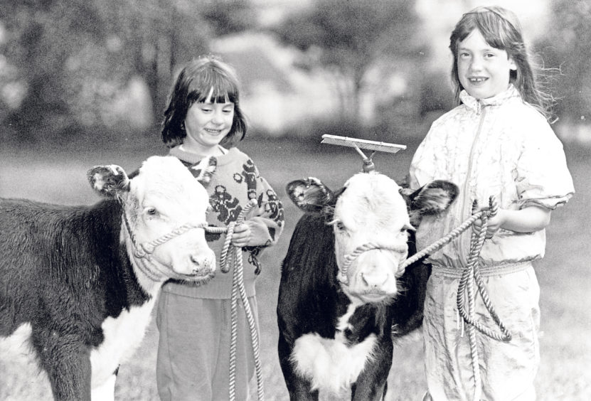 Karen, left, 7, and Hazel Watt, 8, daughters of Echt Show president Ian Watt, with Hereford cross Friesian calves