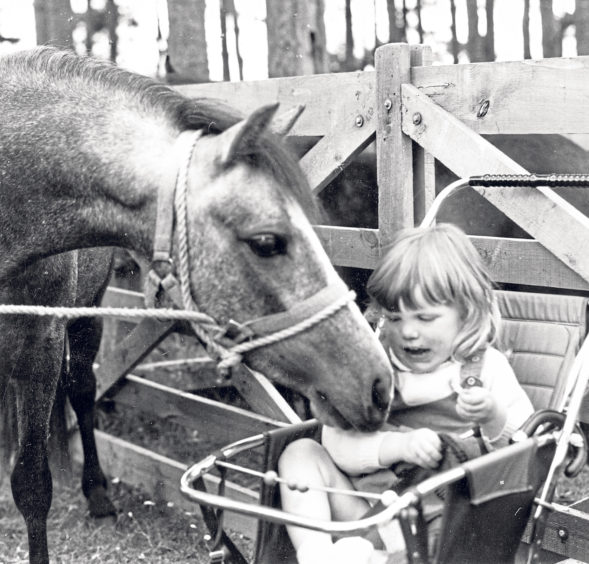 Beverly Sharp, 2, from Castleton, King Edward, with two-year-old filly Baden Scoth Bijou