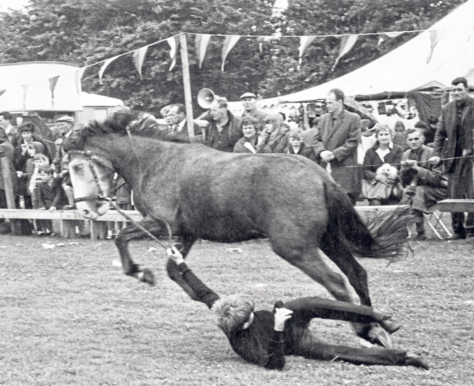 Derek Burnett, from Aberdeen, being dragged along the ground after falling from a pony during the show. Thankfully, he was unhurt