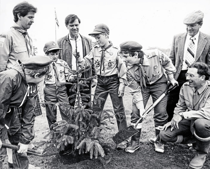 1985: Nick Chauvin, 12, of the 248 Scout Troop, based at the American School at Cults, planted a Sitka spruce as his civic project to earn a Star Scout badge