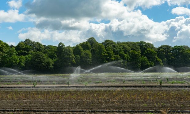 Business operators and farmers are being urged to manage their water use efficiently.