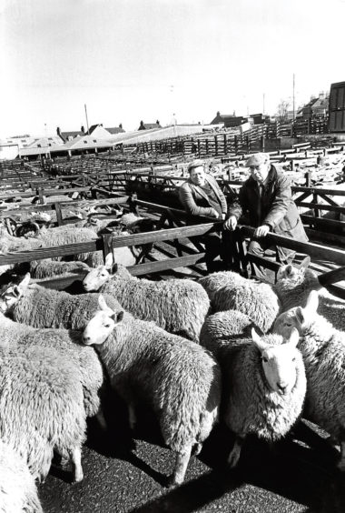 1986: Livestock officer Andrew Philip,