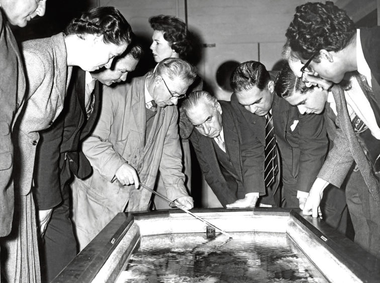 1959: Journalists inspect a tank filled with sea anemones at the marine laboratory..