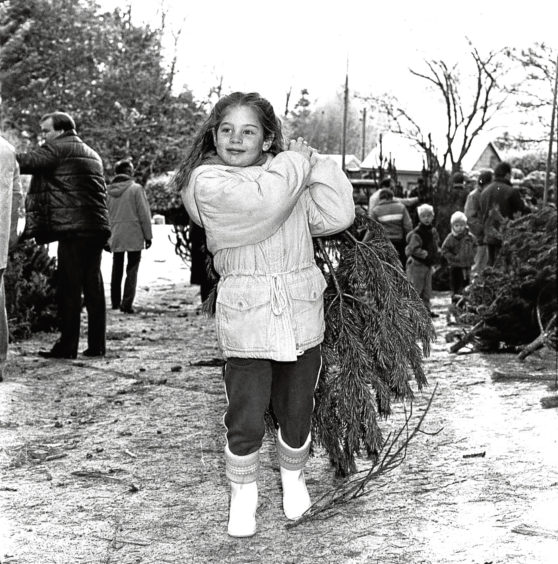 1989: Six-year-old Barbra Williams chooses her family’s Christmas tree at Kirkhill Forest.