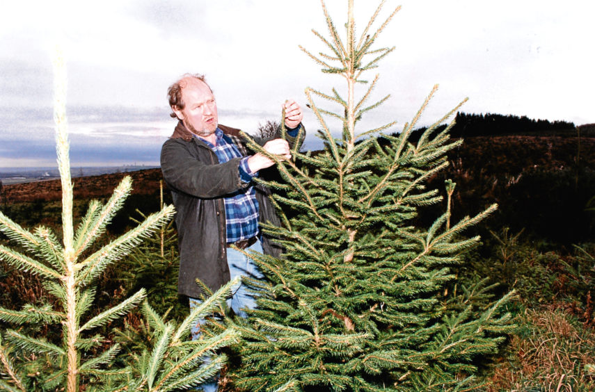 1980: Renee Buchanan and her son Matthew pick out their tree at Kirkhill Forest.