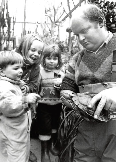 1991: Philip Roger, gardener at the Winter Gardens in Duthie Park, shows off a terrapin to, from left, David, 2, and Rachel Smylie, 4, from Bieldside, with their friend Sophie Kitchener, 4, from Milltimber.
